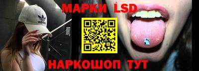 мдпв Новозыбков