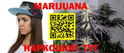 мдпв Новозыбков