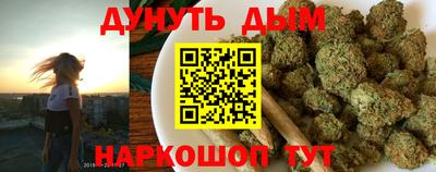 мдпв Новозыбков