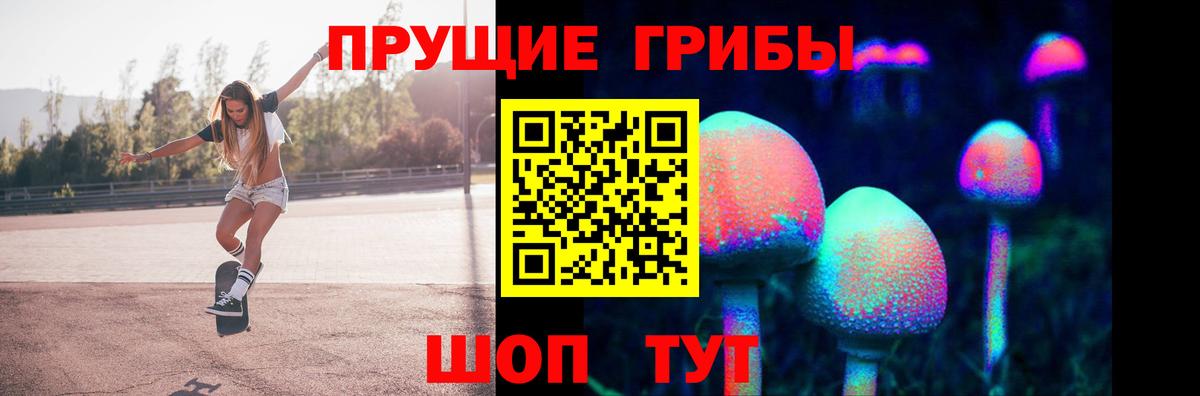 Галлюциногенные грибы Cubensis  Вход с VPN  Морозовск 